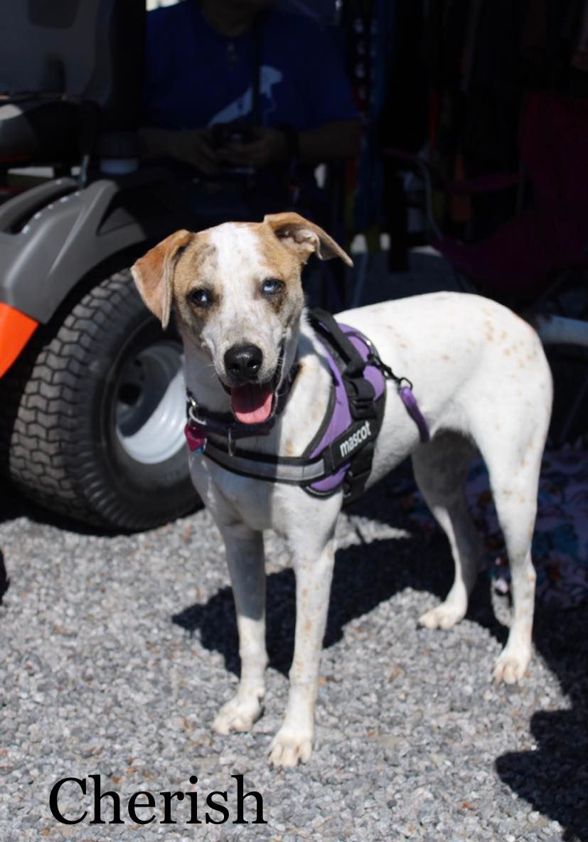 cherish portrait.jpg