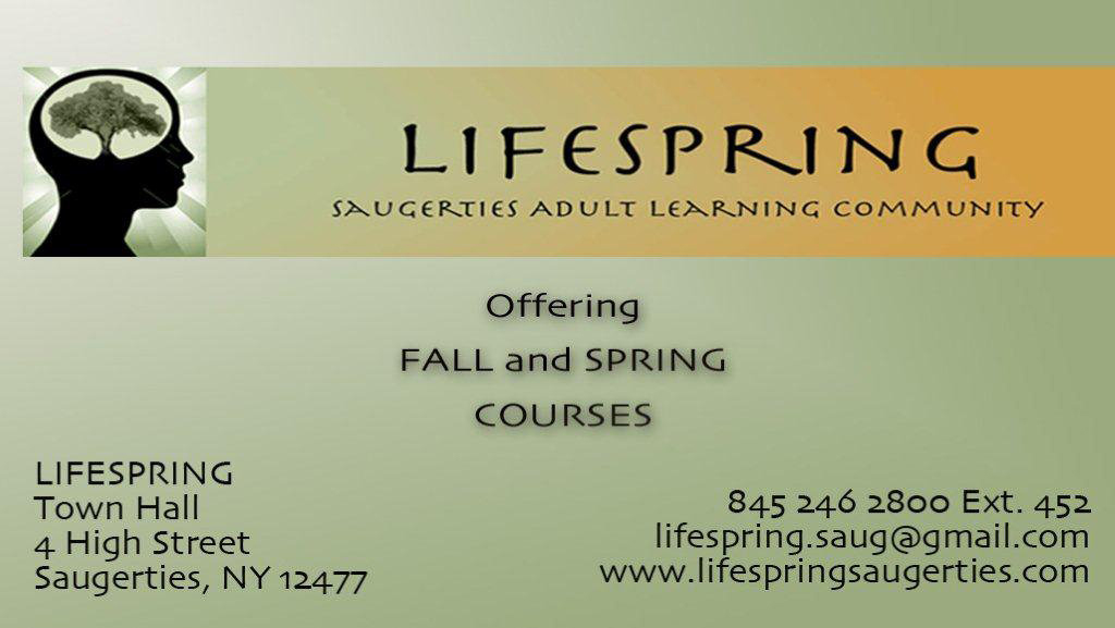 lifespringbizad1.jpg
